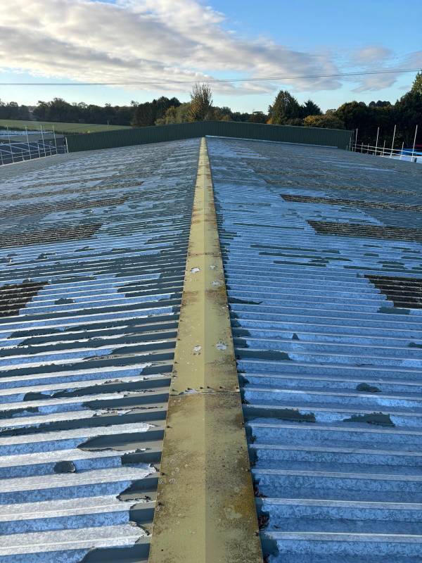 Pimperne factory roof before